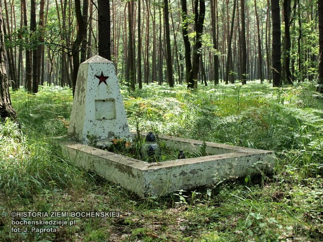 samotny grób żołnierza radzieckiego w Puszczy Niepołomickiej