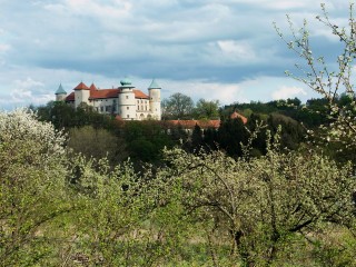 Widok zamku Kmitów w Wiśniczu