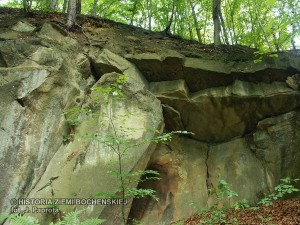stary kamieniołom w Sobolowie-Sieradzce