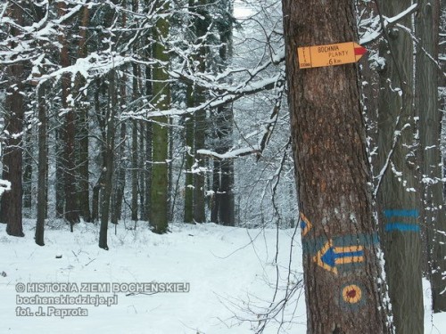 Przez las przebiegają turystyczne szlaki narciarskie