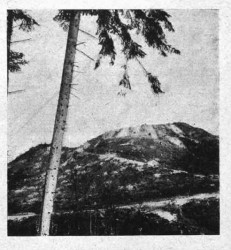 Widok grodziska w latach 30. XX wieku. Orli Lot , R.XI, 1930